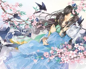 糖心饼干姐姐